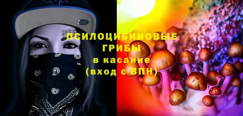 MEGA рабочий сайт  Болотное  Галлюциногенные грибы Psilocybe 